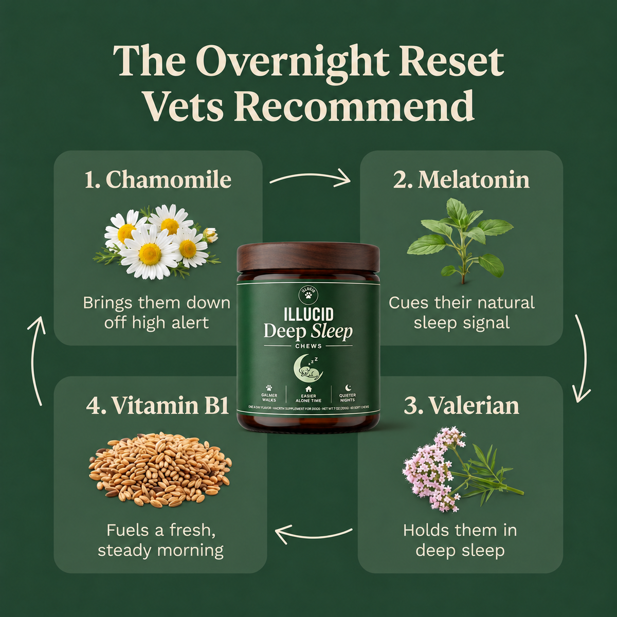 Illucid Deep Sleep Chews