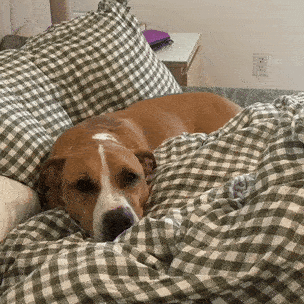 Restful nights return