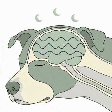 2. Deep rest